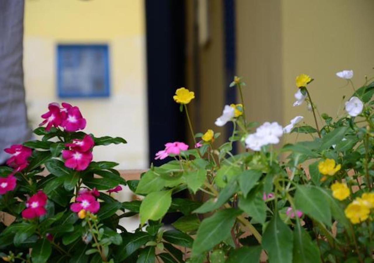 Brasileranza Hostel Niteroi Exterior photo